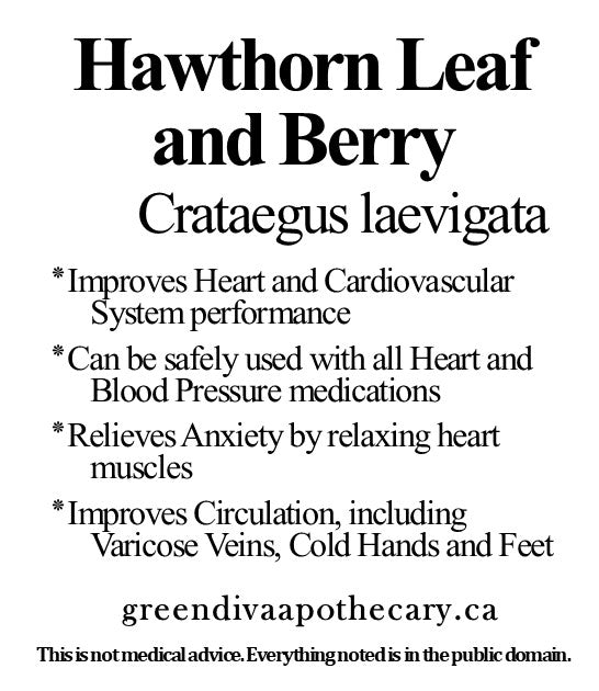 Organic Farmacopia: Hawthorn leaf and berry