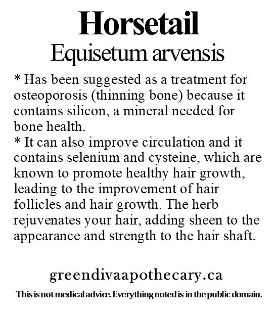 Organic Farmacopia: Horsetail