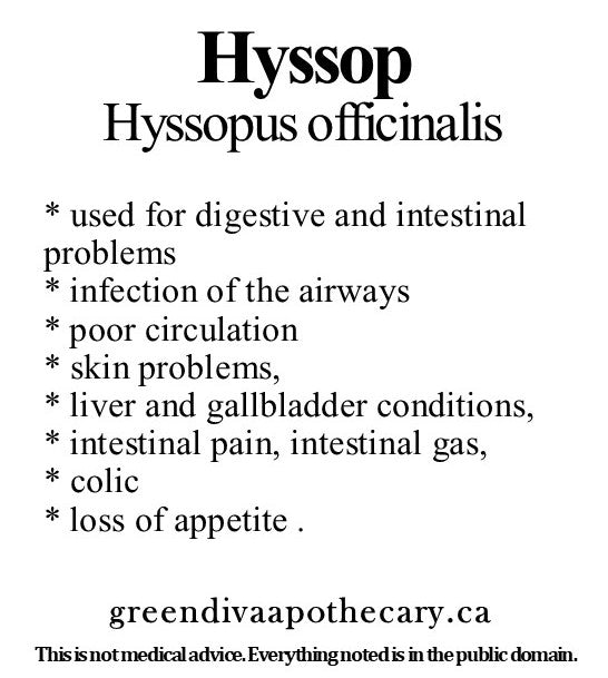 Organic Farmacopia: Hyssop