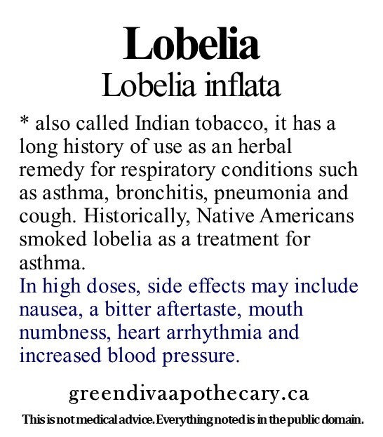 Organic Farmacopia: Lobelia