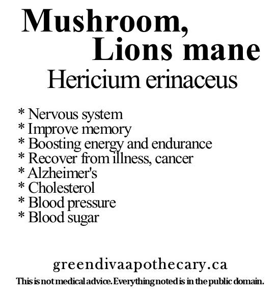 Organic Farmacopia: Mushroom-Lion's mane