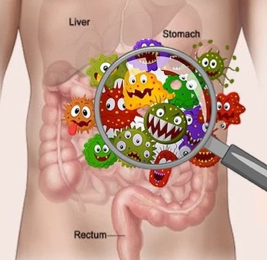 You Could Have SIBO: Small Intestinal Bacterial Overgrowth