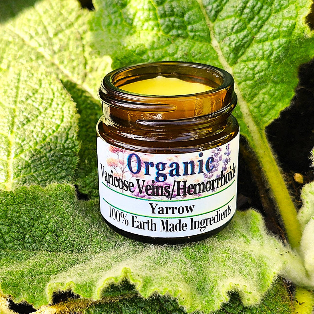 Yarrow Salve for Varicose Veins or Hemorrhoids