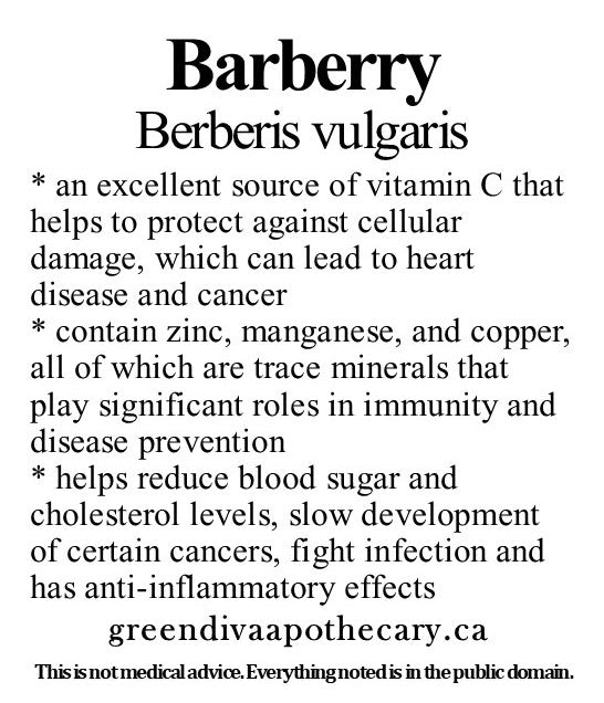Organic Farmacopia: Barberry