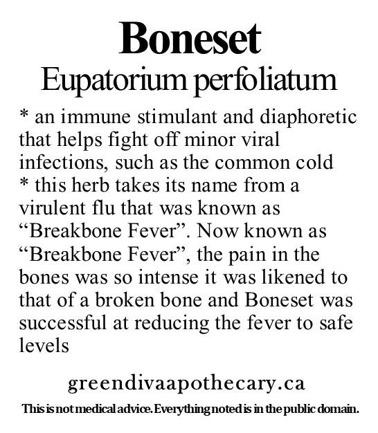 Organic Farmacopia: Boneset