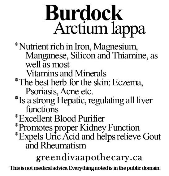 Organic Farmacopia: Burdock root