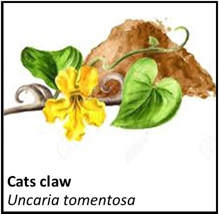 Organic Farmacopia: Cats claw