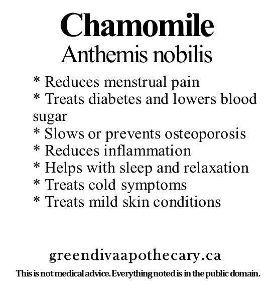 Organic Farmacopia: Chamomile flower