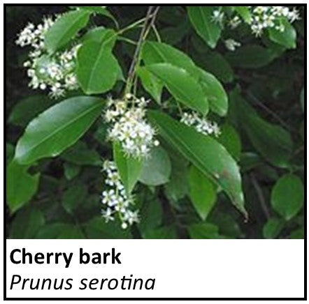 Organic Farmacopia: Cherry bark