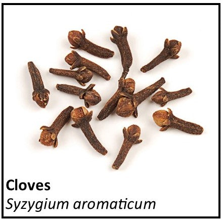 Organic Farmacopia: Clove