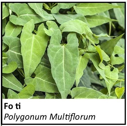 Organic Farmacopia: Fo-ti