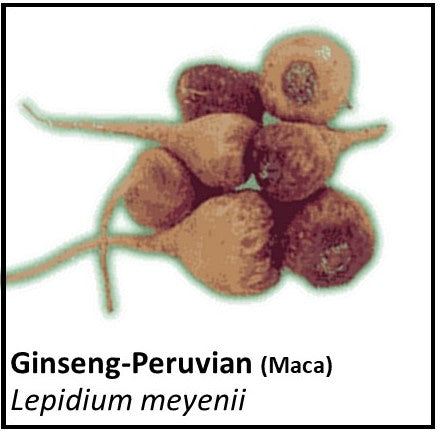 Organic Farmacopia: Ginseng-Peruvian (maca)