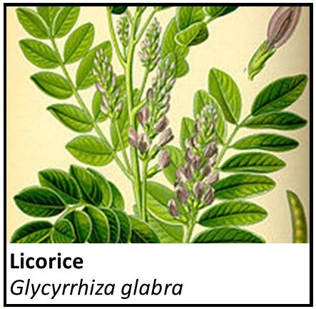 Organic Farmacopia: Licorice