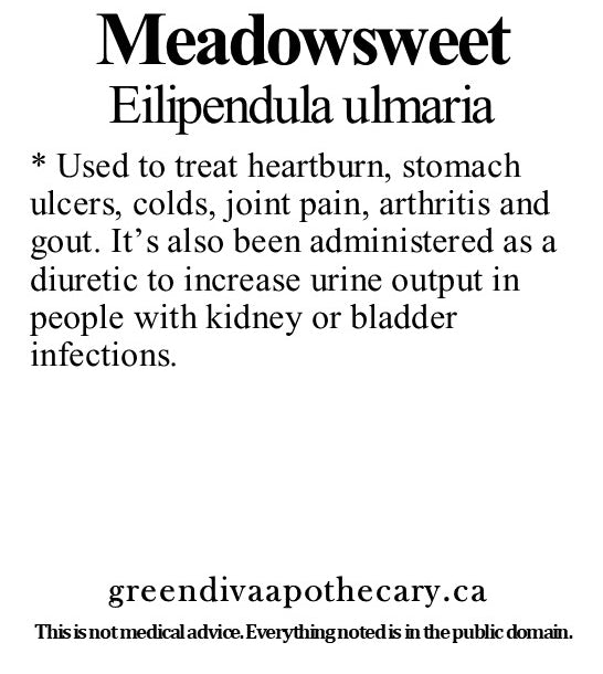 Organic Farmacopia: Meadowsweet