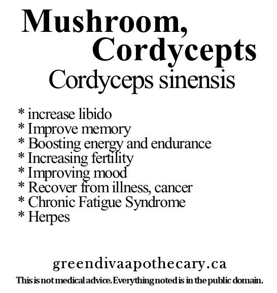 Organic Farmacopia: Mushroom-Cordyceps