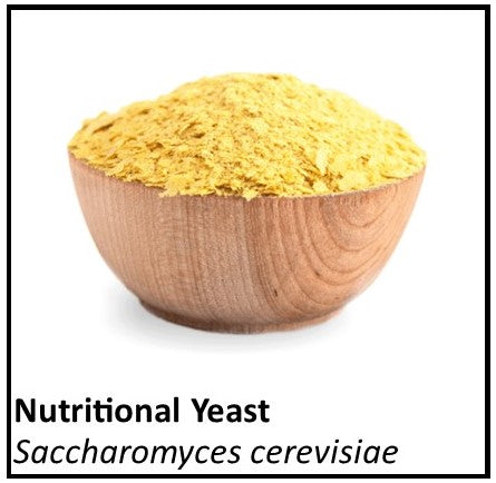 Organic Farmacopia: Nutritional yeast