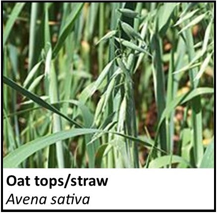Organic Farmacopia: Oat tops