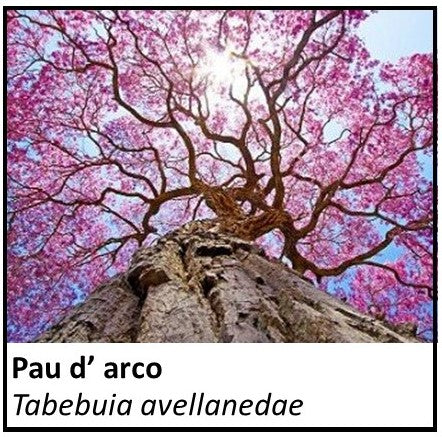 Organic Farmacopia: Pau d' Arco