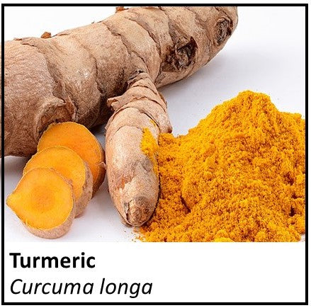 Organic Farmacopia: Turmeric